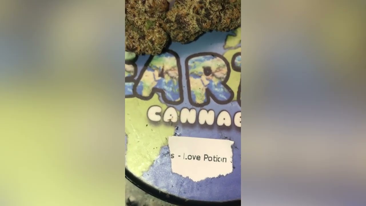 Love Potion Strain Review (Smk Brk 420)