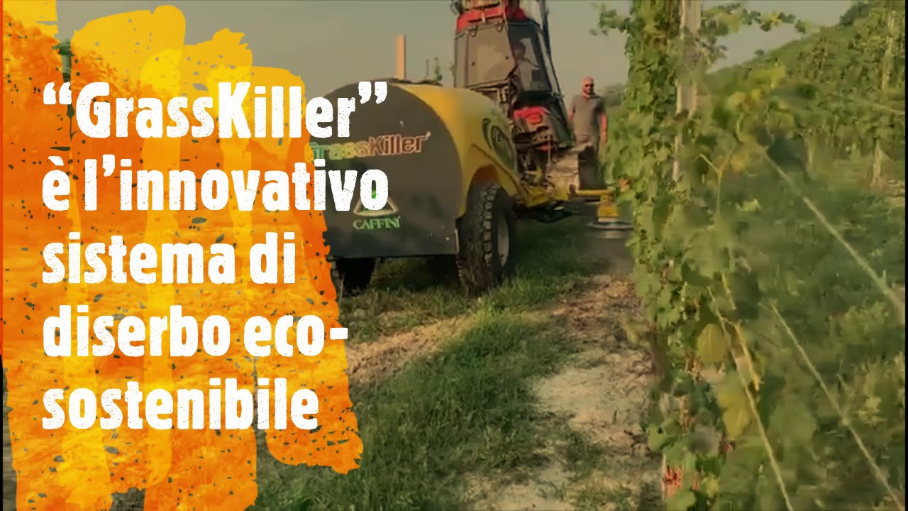 CAFFINI PROVA IN CAMPO 23/07/2019