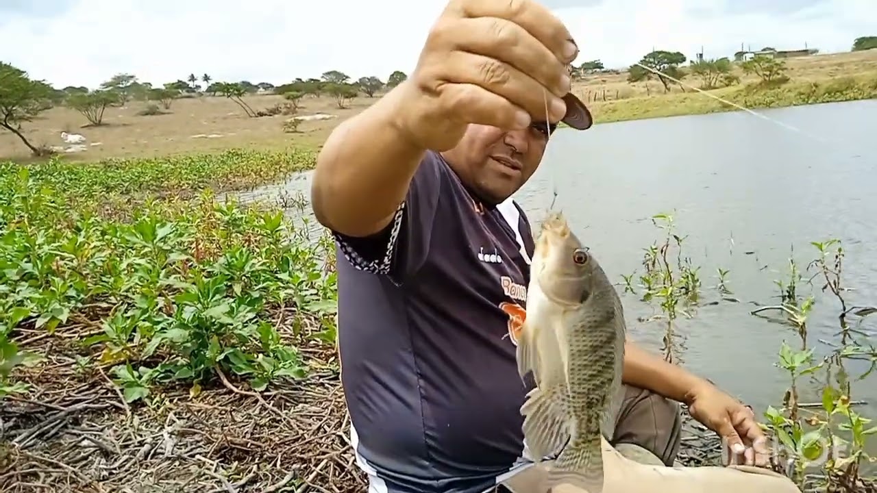Nessa lagoa as fisgadas são brutas 🎣