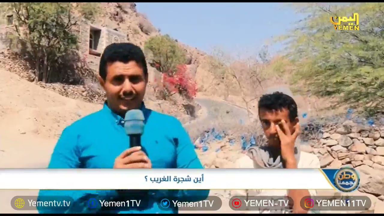 معالم وأعلام | اين تقع شجرة الغريب ؟