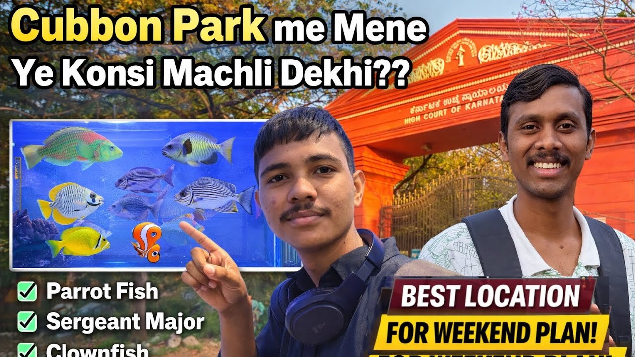 Ye sob machli or Cuban park me  O bhi etna sara part -01 