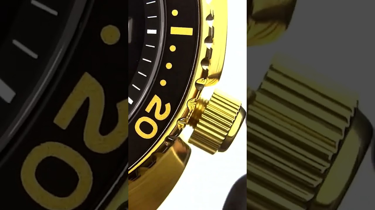Seiko Golden Turtle Diver 🪙🐢