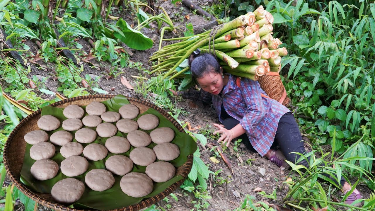 Harvesting Taro to make Taro cake with peanuts and molasses to sell at the market | Trieu Mai Huong.