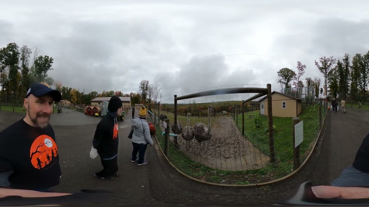 West Virginia, Hovatters Zoo 2023 - 4K 360 VR