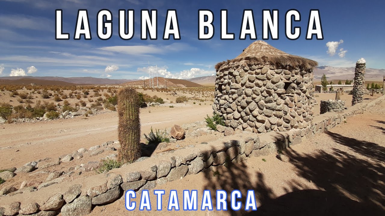 PUNA CATAMARQUEÑA. Chakú, esquila de Vicuñas.