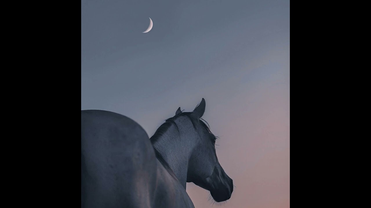 Where the Horses Breathe