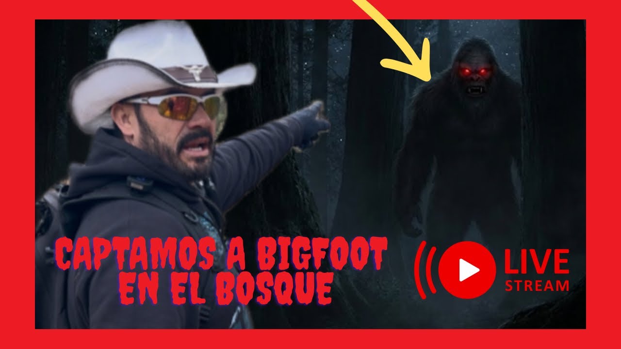 En vivo CAPTAMOS A BIGFOOT EN EL BOSQUE 