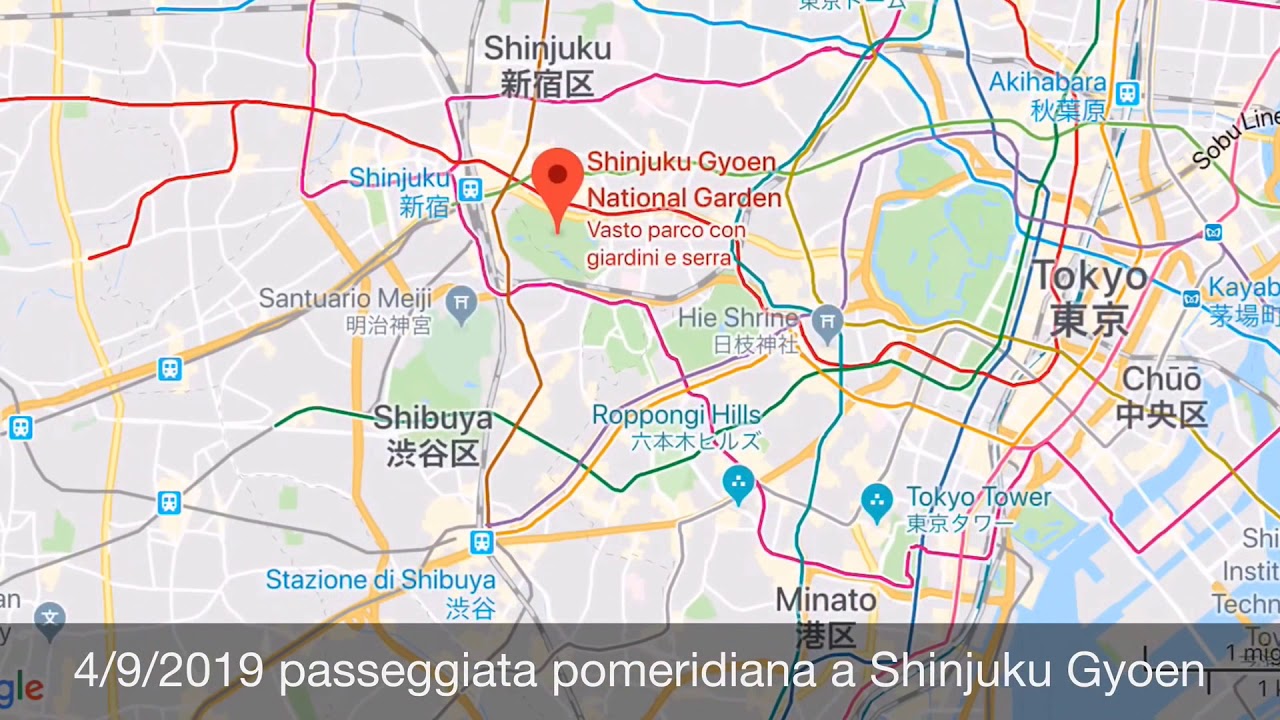 Miru - Giappone in pillole 2 (Shinjuku Gyoen)