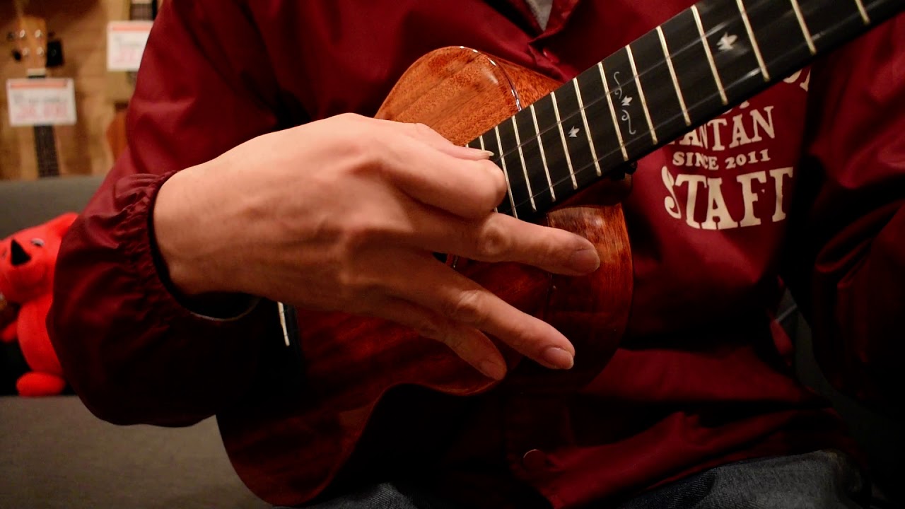 NEW/Enya Music EUT-MAD@guitarshoptantan