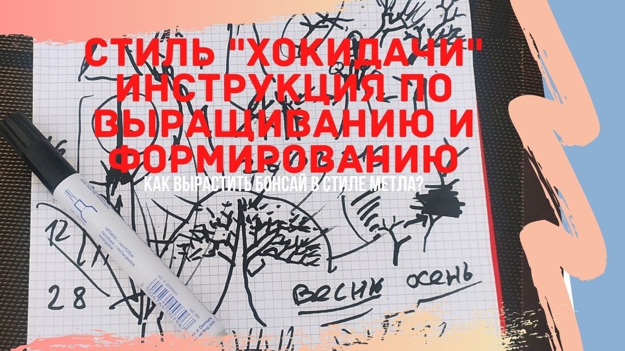 Стили бонсай. Как вырастить бонсай в стиле Хокидачи (Hokidachi) - 