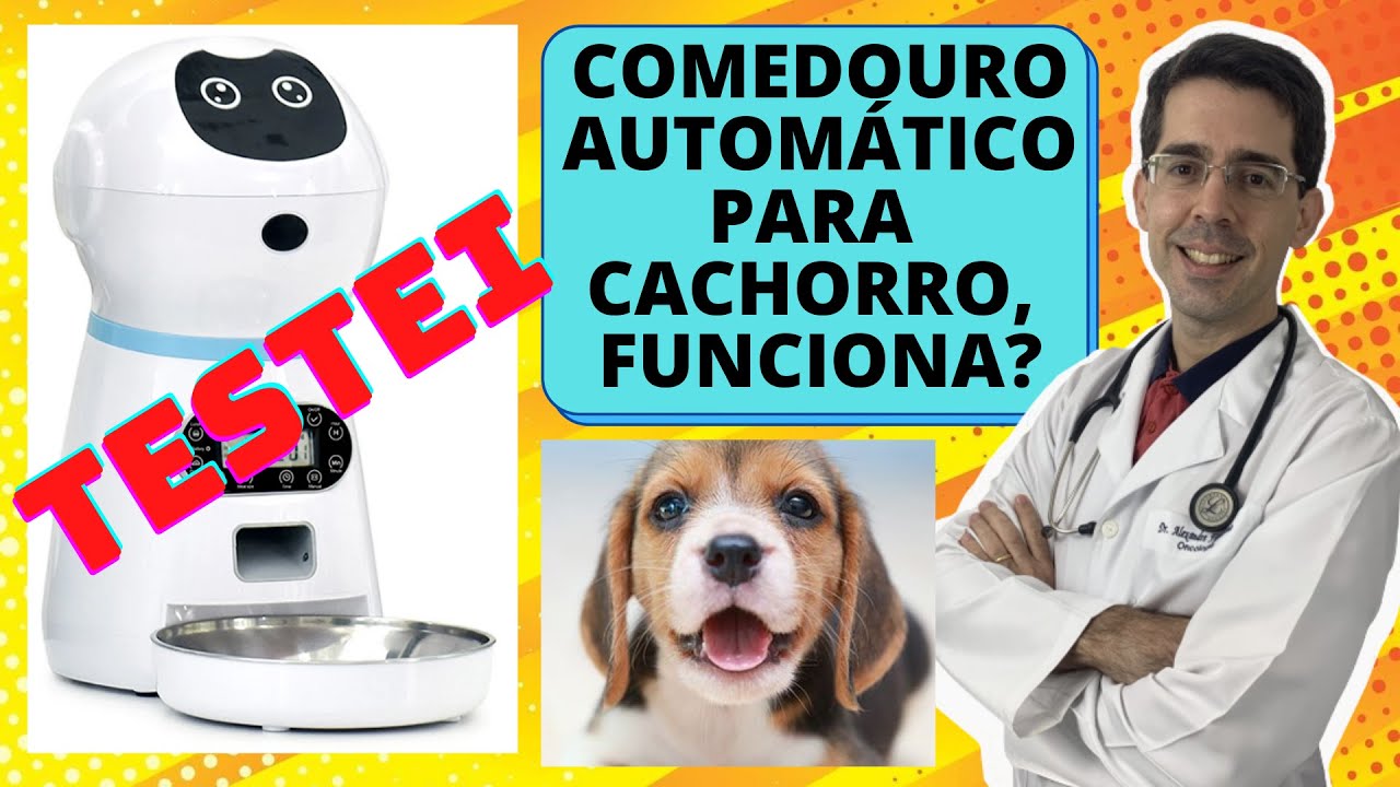 COMEDOURO AUTOMÁTICO PARA CACHORRO, É BOM? Testei um aqui e te mostro as VANTAGENS e DESVANTAGENS!