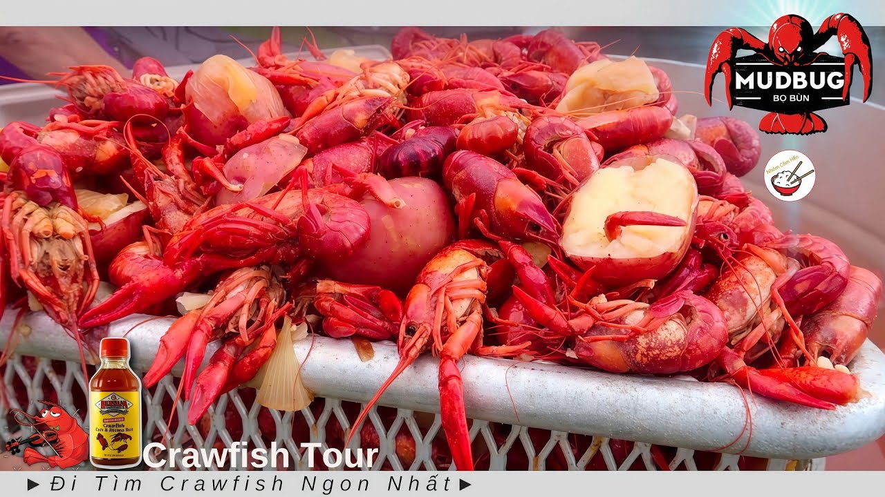 CRAWFISH TOUR ► Đi t&igrave;m qu&aacute;n T&ocirc;m H&ugrave;m Đất ngon nhất (Đặc sản Louisiana lại l&ecirc;n ng&ocirc;i)