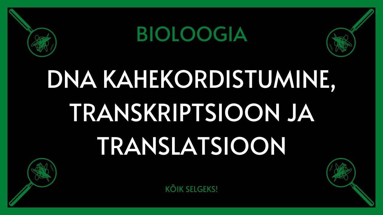DNA kahekordistumine, transkriptsioon ja translatsioon - KÕIK SELGEKS!