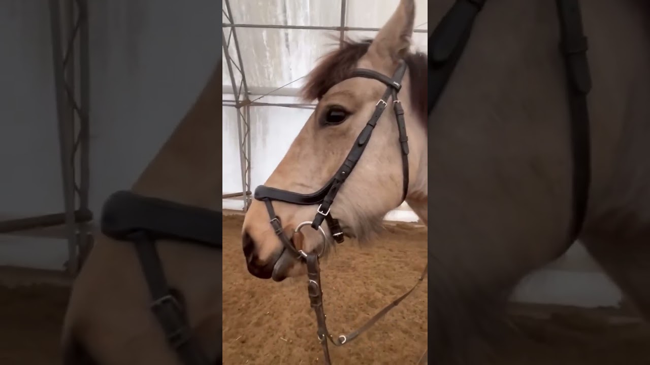At the barn!!!! 