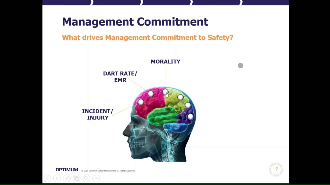 What Drives Management Commitment to Safety?