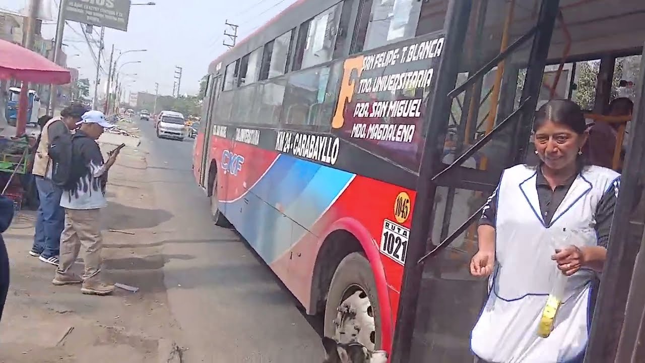Nueva  Cultura.  Distrito   Carabayllo   Av .tupac Amaru  Frente  a  La  Municipalidad 