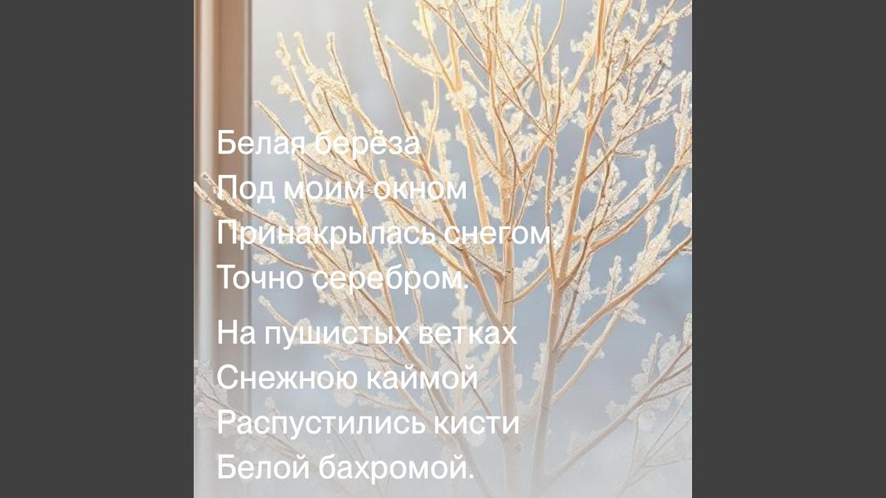 Белая берёза