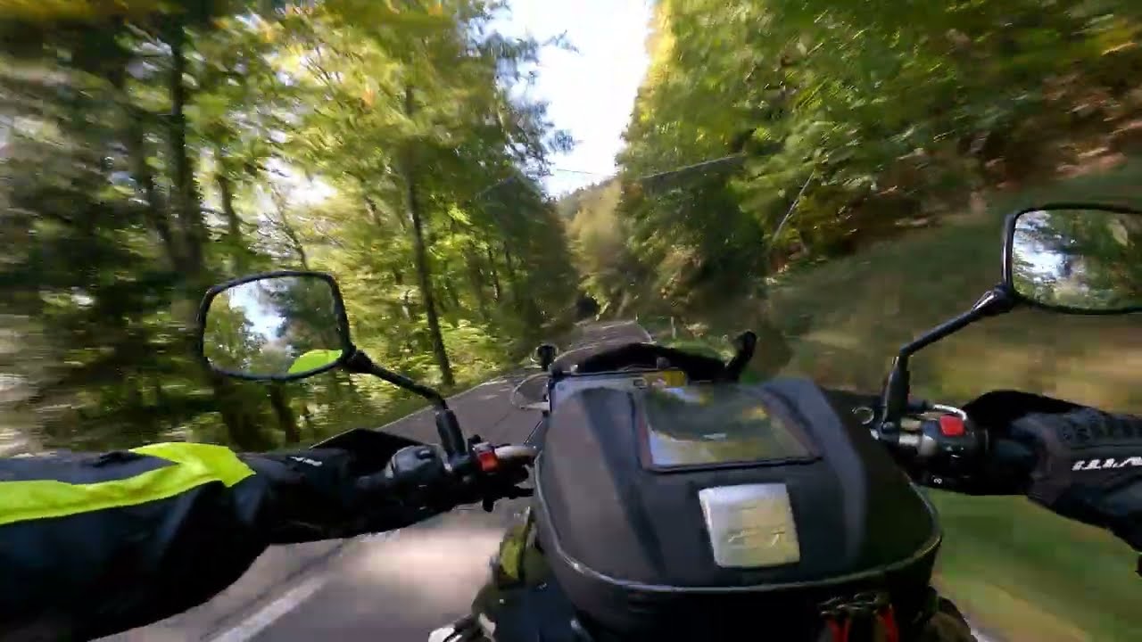 Suzuki V-Strom 650 XT | Schwarzwald (Germany) | October 2022 | RAW Sound | PART 2/3