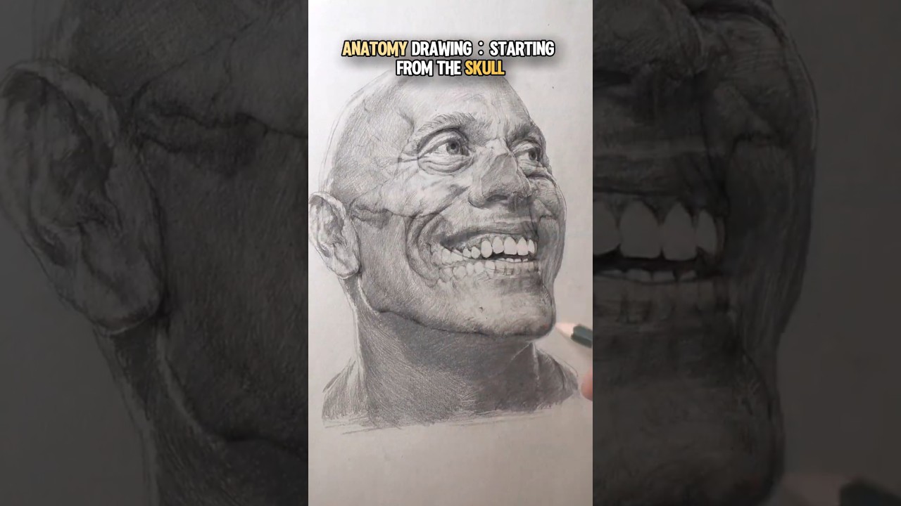 ANATOMY DRAWING: STARTING FROM THE SKULL
