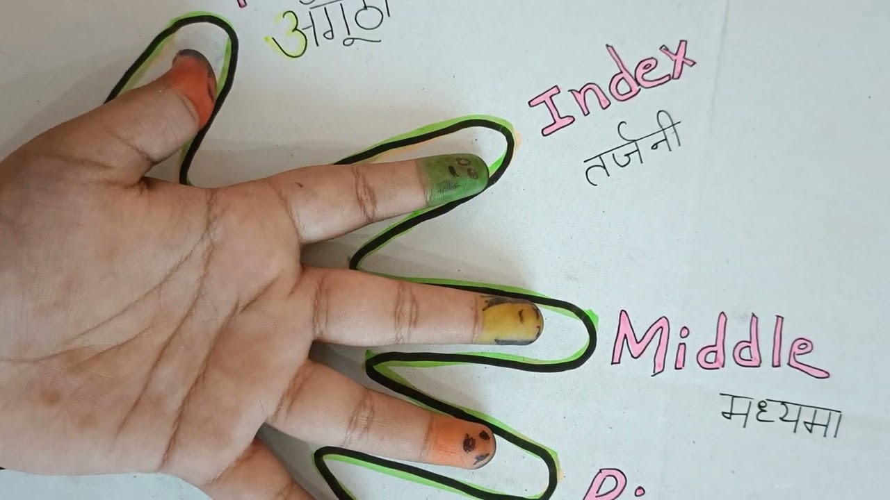 Fingers name in Hindi and English