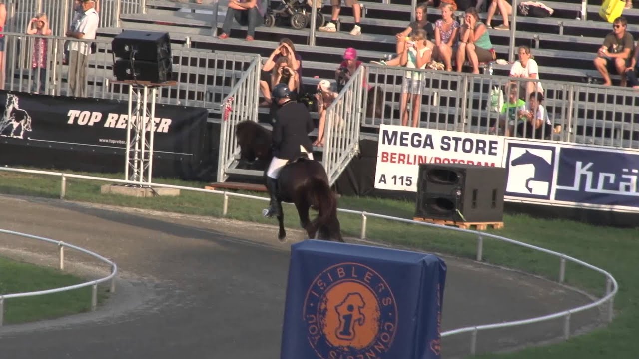 F1, preliminaries, Magnús Skúlason, Hraunar, WC Icelandic Horses, Islandpferde-WM,  2013