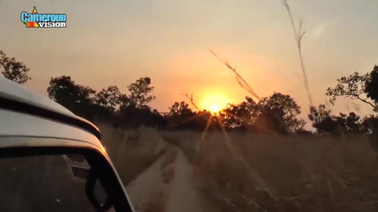 LE PARC NATIONAL DE LA BENOUE SUR CAMEROUN VISION...