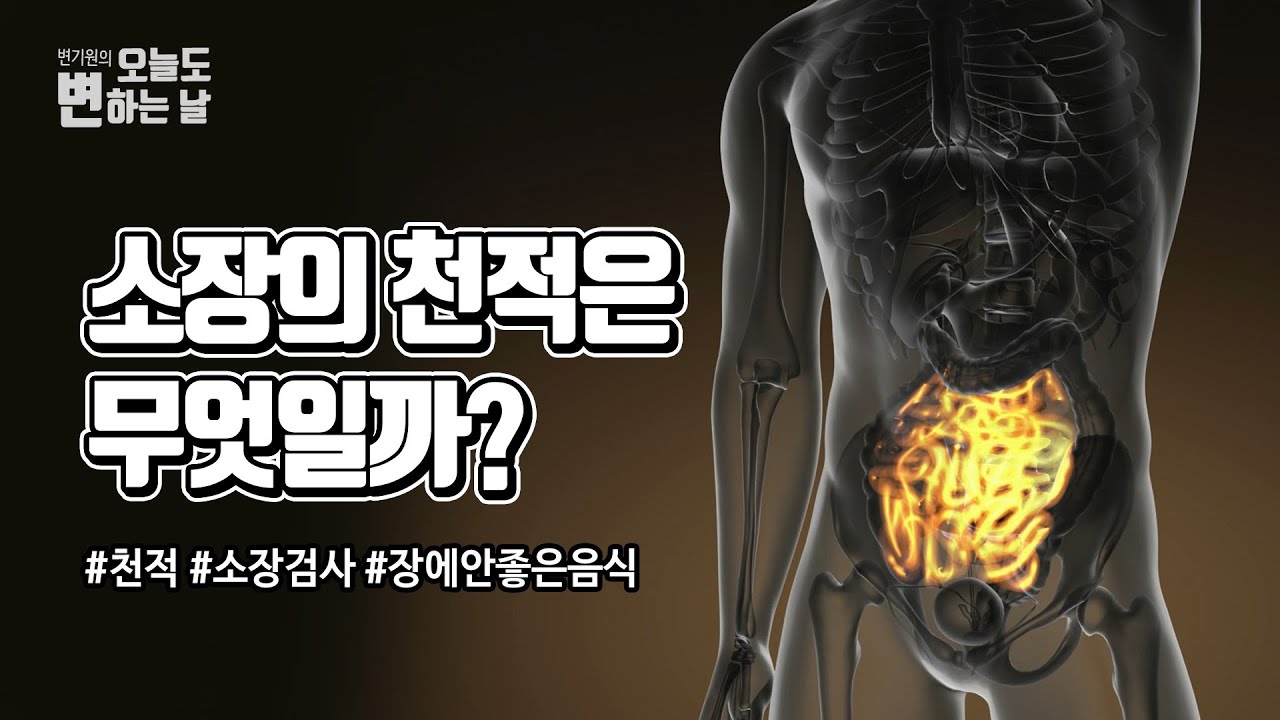소장의 천적을 피하셔야 건강할 수 있습니다! 변한의원