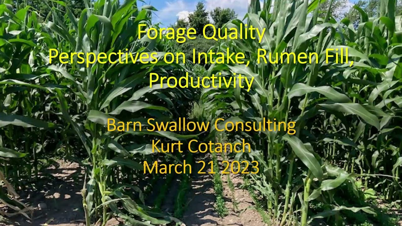 Forage Quality - Perspectives on Intake, Rumen Fill, Productivity