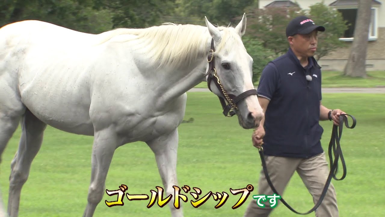 【ゴールドシップに会いに行こう！】競馬好きのおじさん2人が行く！名馬を訪ねて完全版