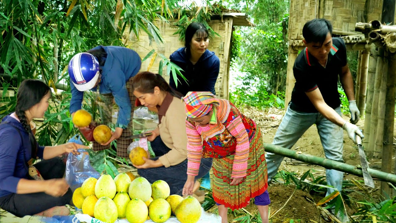 Cóntruct building from bamboo - A heartwarming harvest - A heartwarming moment for Thuy and Men.