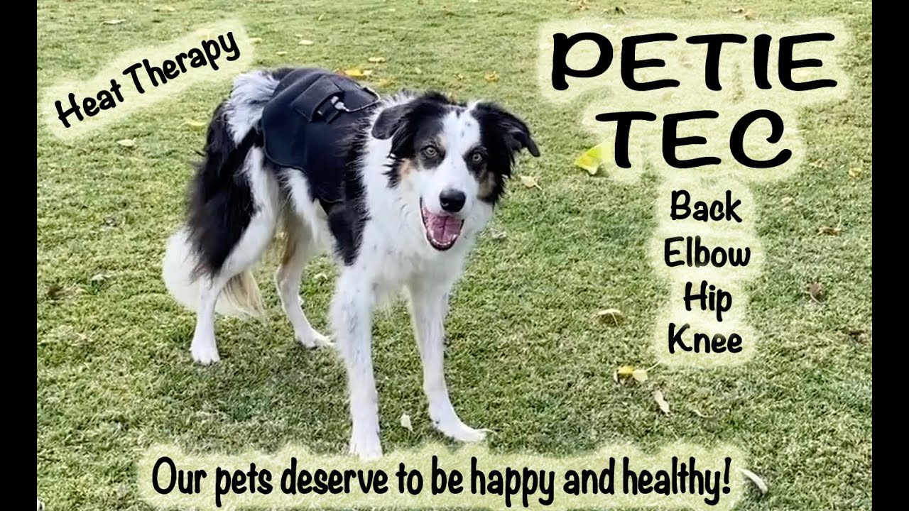 PetieTec Targeted Heating Therapy Braces for Dogs (German Shepherd, Border Collie)