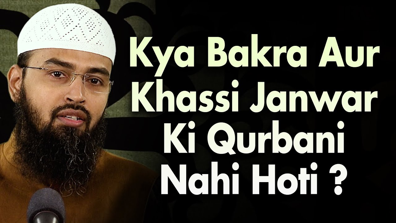 Kya Bakra & Khassi Janwar Ki Qurbani Nahi Hoti Kyuke Bakra Peshab Pita Hai & Khassi Me Aib Hota Hai