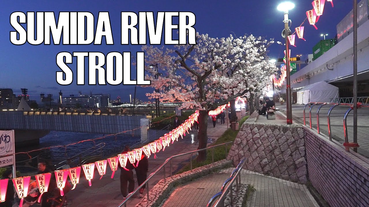 🌸 Sumida River Cherry Blossom Stroll | Tokyo Spring Walk 🌸 April 4, 2025