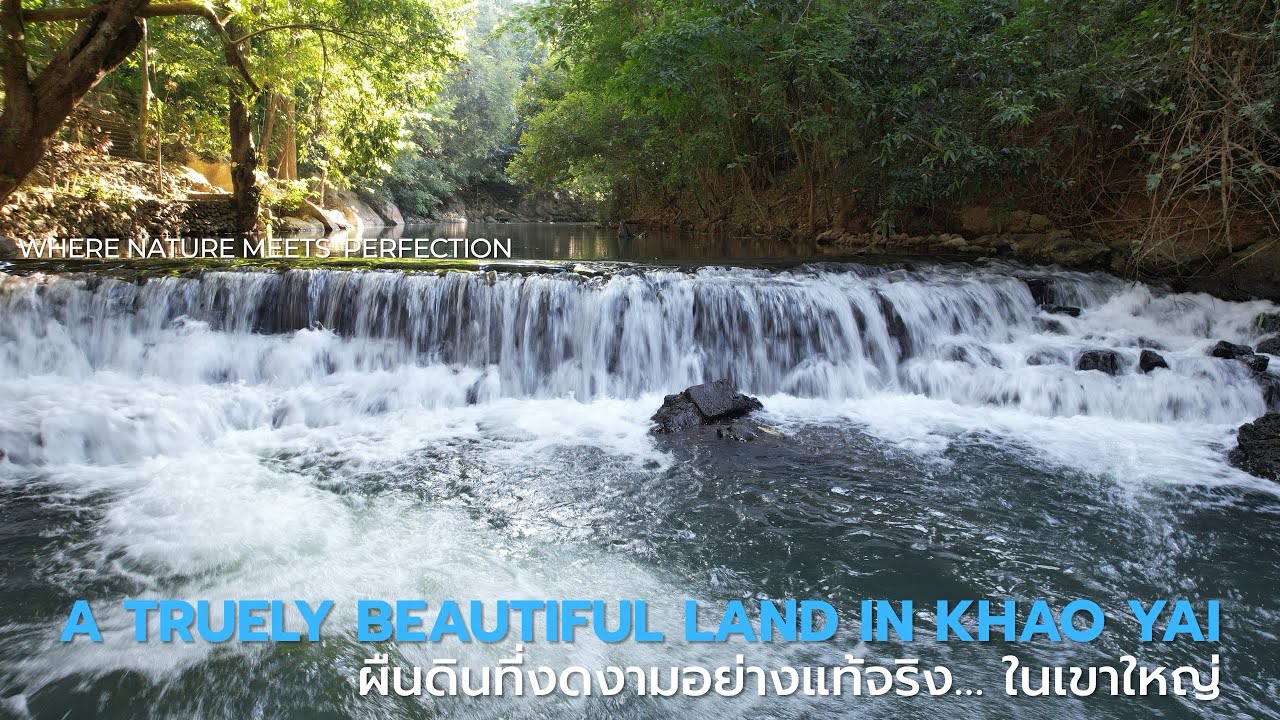 EP329: ที่ดินติดน้ำตก น้ำไหลตลอดทั้งปี ขนาด 32 ไร่ ติดถนน 200 ม. โอบล้อมด้วยธรรมชาติสมบูรณ์