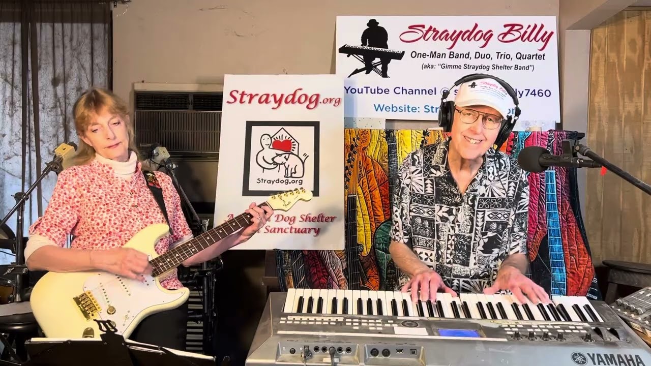 I Still Miss You – written by Straydog Billy – Song 2019 – PLEASE spay/neuter your dogs and cats!!