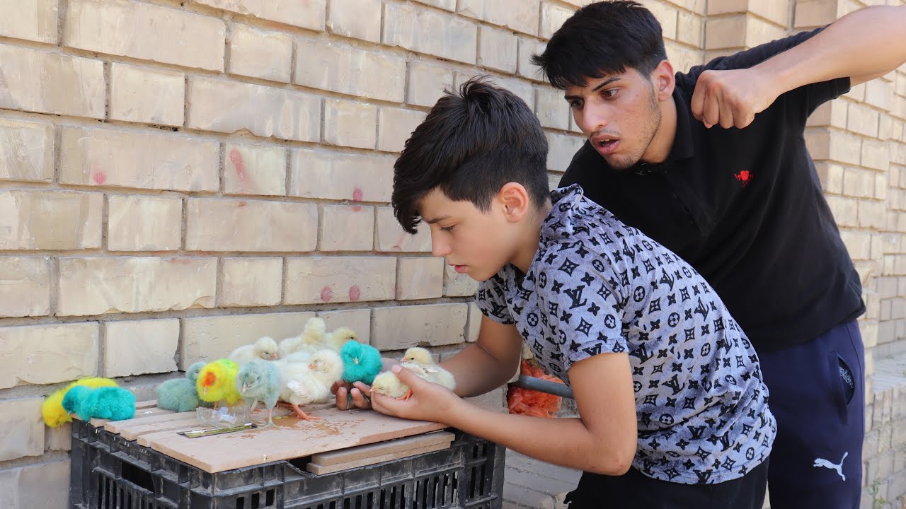 فلم قصير ابو الكتاكيت والطفل الحرامي قصه واقعيه 💔