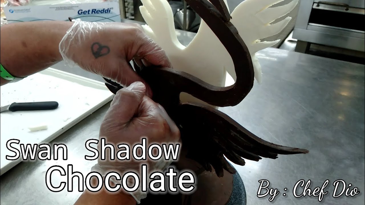 chocolate art swan shadow | Work on the ship | Royal Caribbean crew vlog