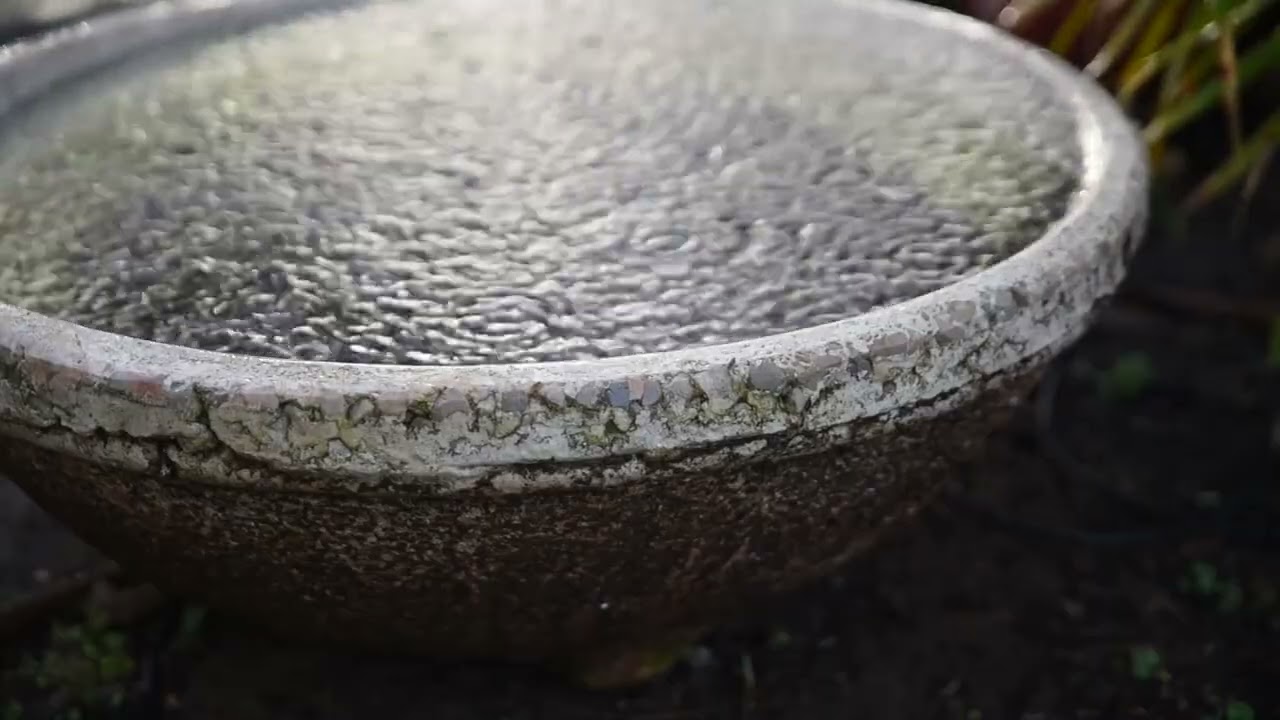 The sound of spring rain | Sleep, study, concentration | 12 hours