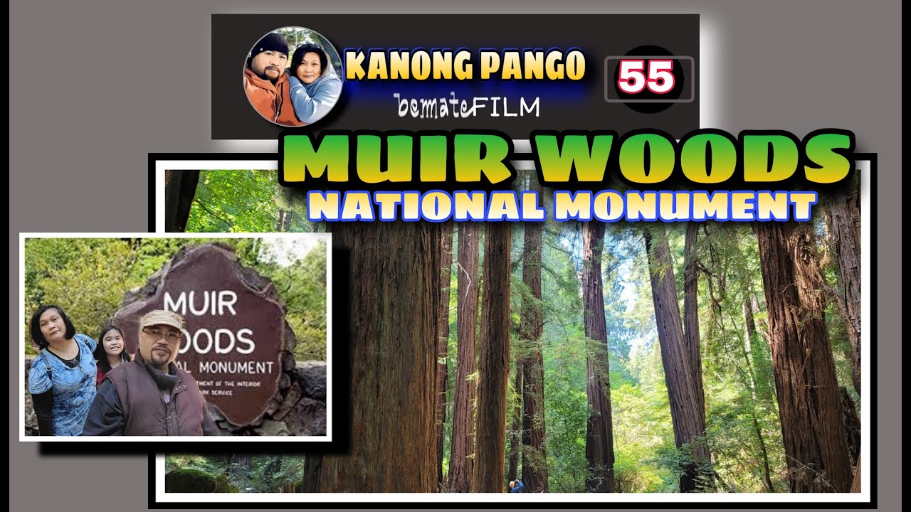 CINEMATIC VIEWS OF MUIR WOODS