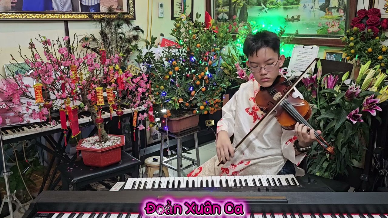 ĐOẢN XUÂN CA - Violin - cover - @nhatvuvlog3623 