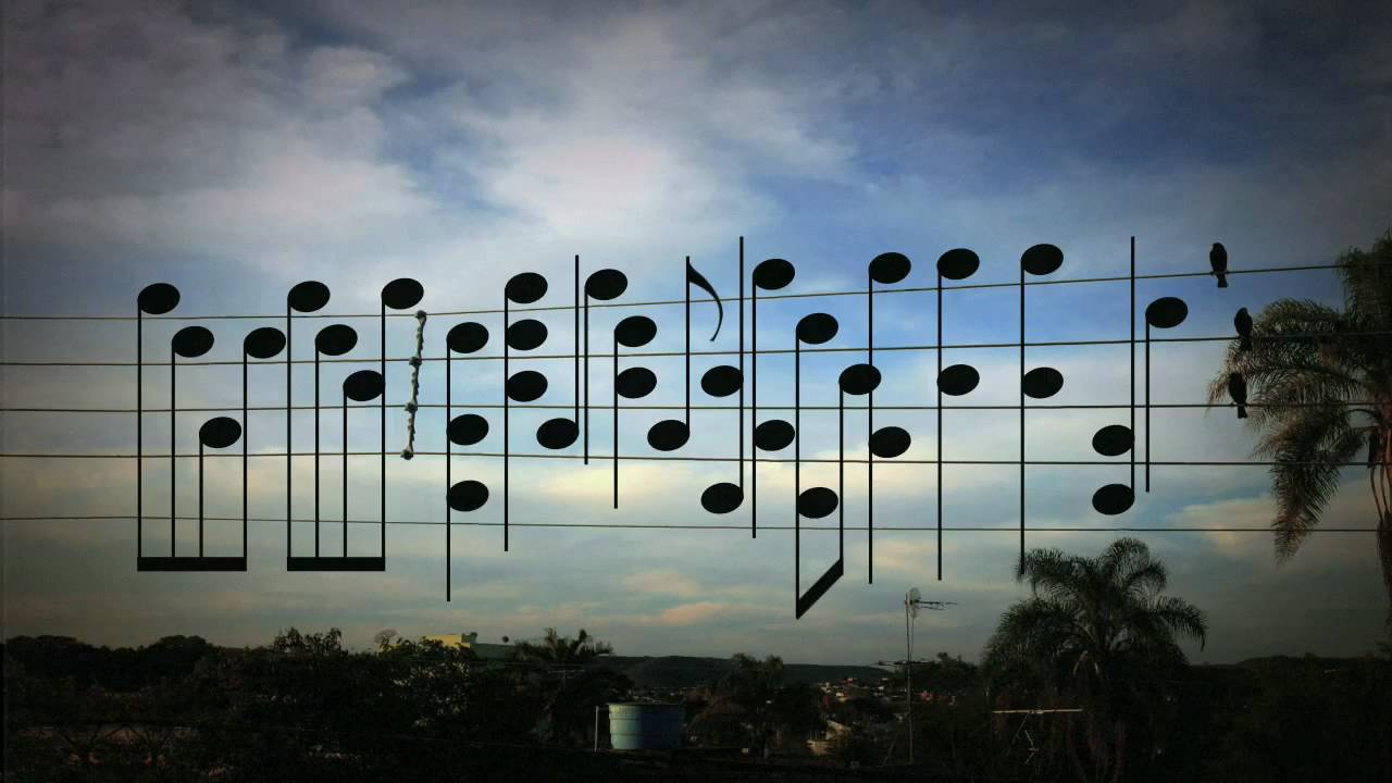 Birds on The Wires