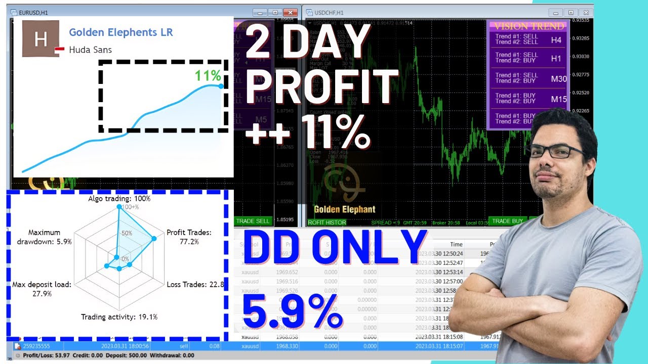 Forex Trading: How to Increase Profits with Low Drawdown | Part 3 Golden Elephent EA | Free Forex EA