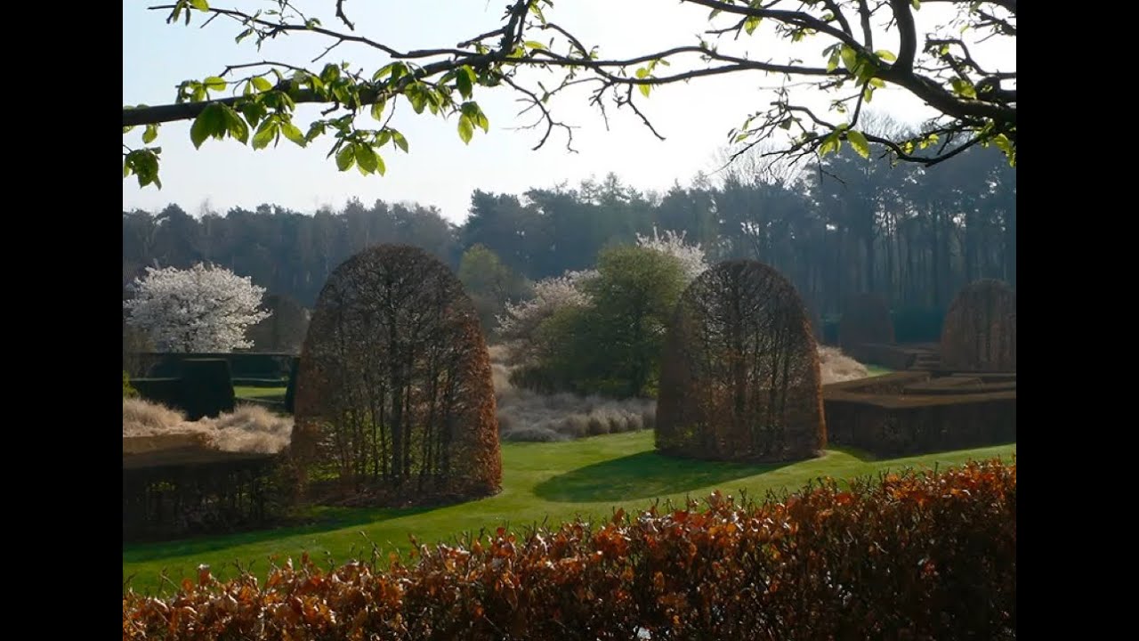 Darren Lerigo - the provocations of the modern topiarist