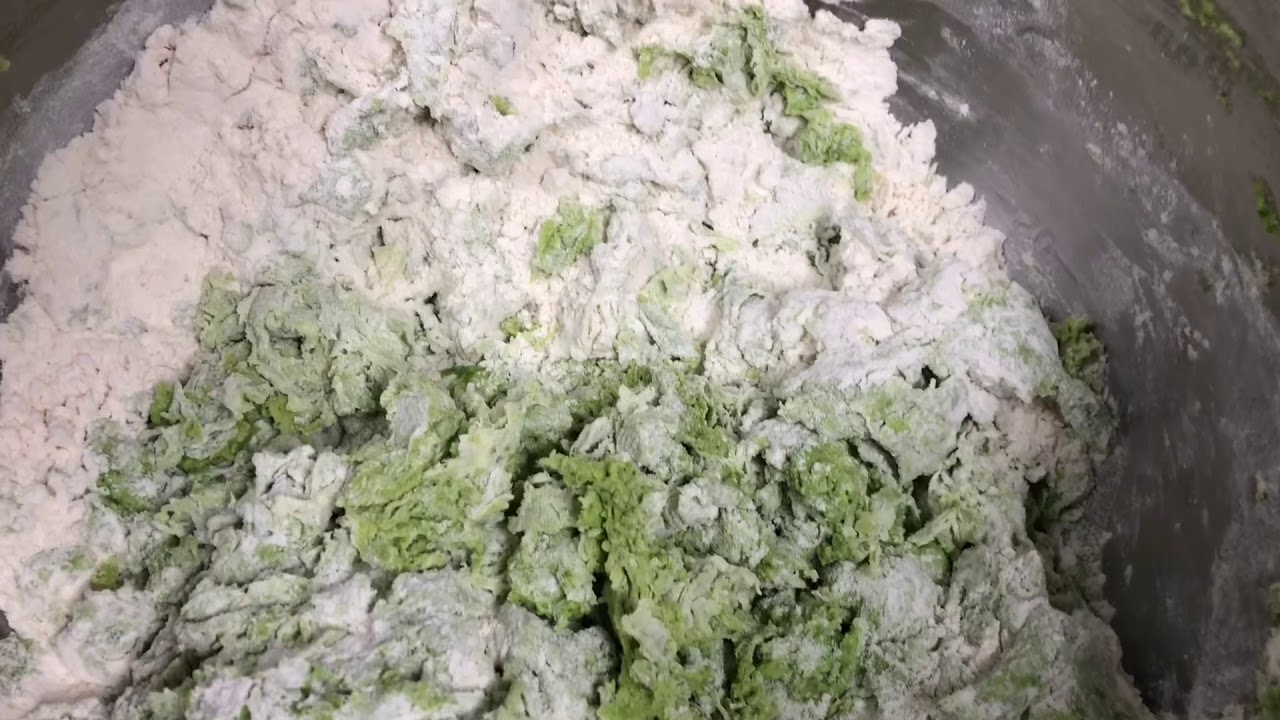 Vegan Potstickers