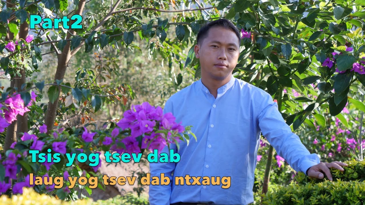 Tsis yog tsev dab laug yog tsev dab ntxaug part2 12/20/2023