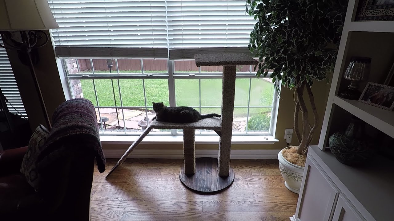 DIY Cat Tree