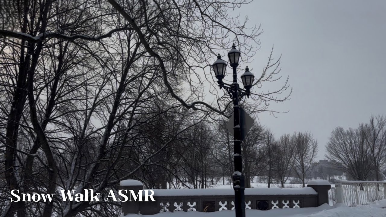 Snow Walk ASMR | Walking in Canada Snow | Calm Winter Day with Falling Snow