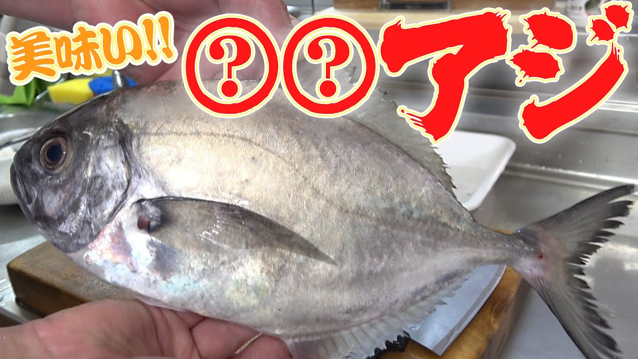 これは美味い！！ヒゲの兄貴と○○アジを捌いて食べてみたよ！