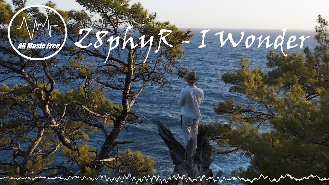 Z8phyR - I Wonder