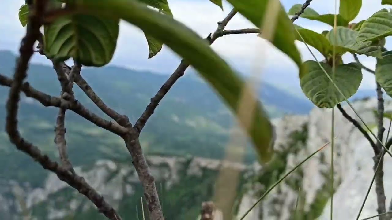 Suva planina-vrh Vis 2023. pogled na Sicevacku klisuru i Svrljiske planine